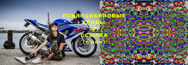 героин Богданович