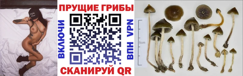 наркотики  Набережные Челны  MEGA ТОР  Псилоцибиновые грибы мухоморы 